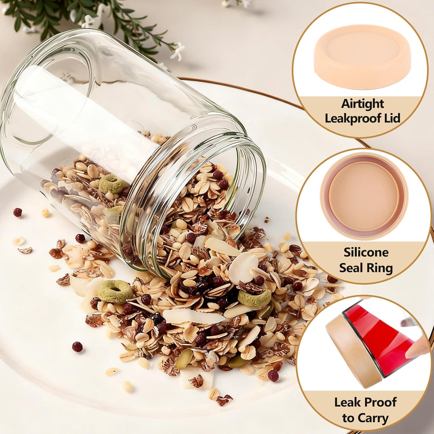 12 Pack Overnight Oats Contain - Food Storage Containers 评论和价格